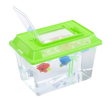 Transparent plastic starter fish tank with a bright green lid, featuring decorative fish and aquatic plants inside.
