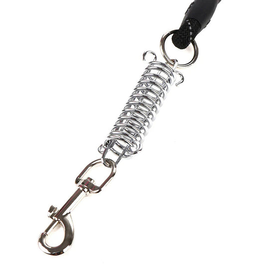 Dog Leash Rope with Foam Grip