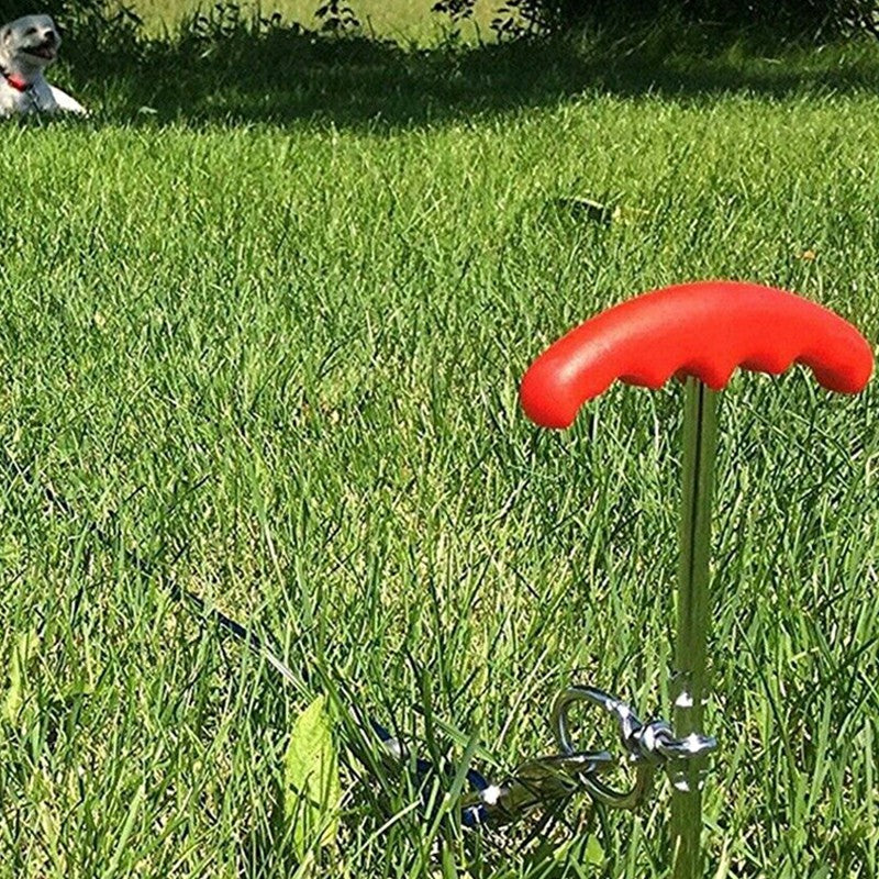 Dog Tie Out Cable and Stake