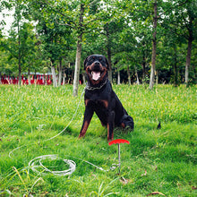 Dog Tie Out Cable and Stake
