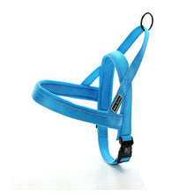 Adjustable Dog Seat Belt