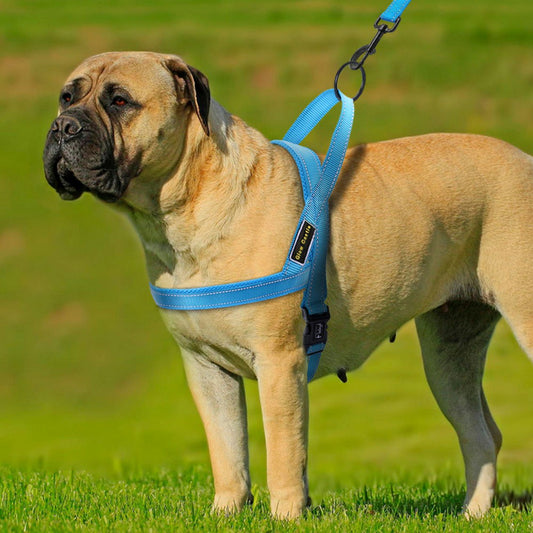 Adjustable Dog Seat Belt