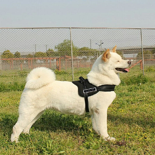 Groomie Adjustable Dog Harness