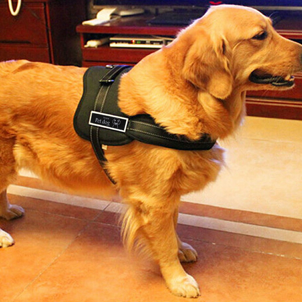 Groomie Adjustable Dog Harness