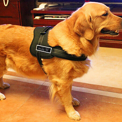 Groomie Adjustable Dog Harness