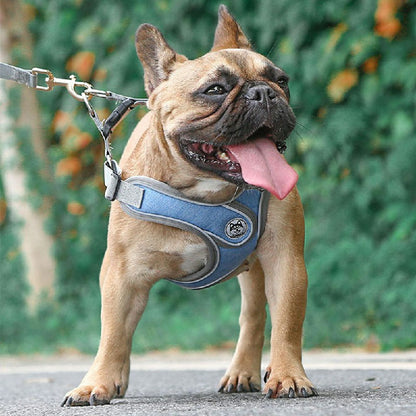 Adjustable and Breathable Dog Harness