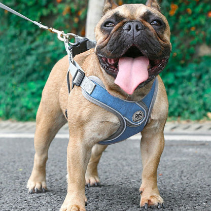 Adjustable and Breathable Dog Harness