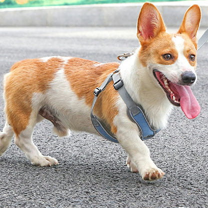 Adjustable and Breathable Dog Harness