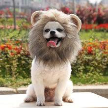 Brown Lion Mane Hood Pet Costume