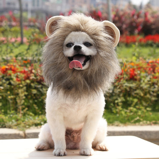 Brown Lion Mane Hood Pet Costume