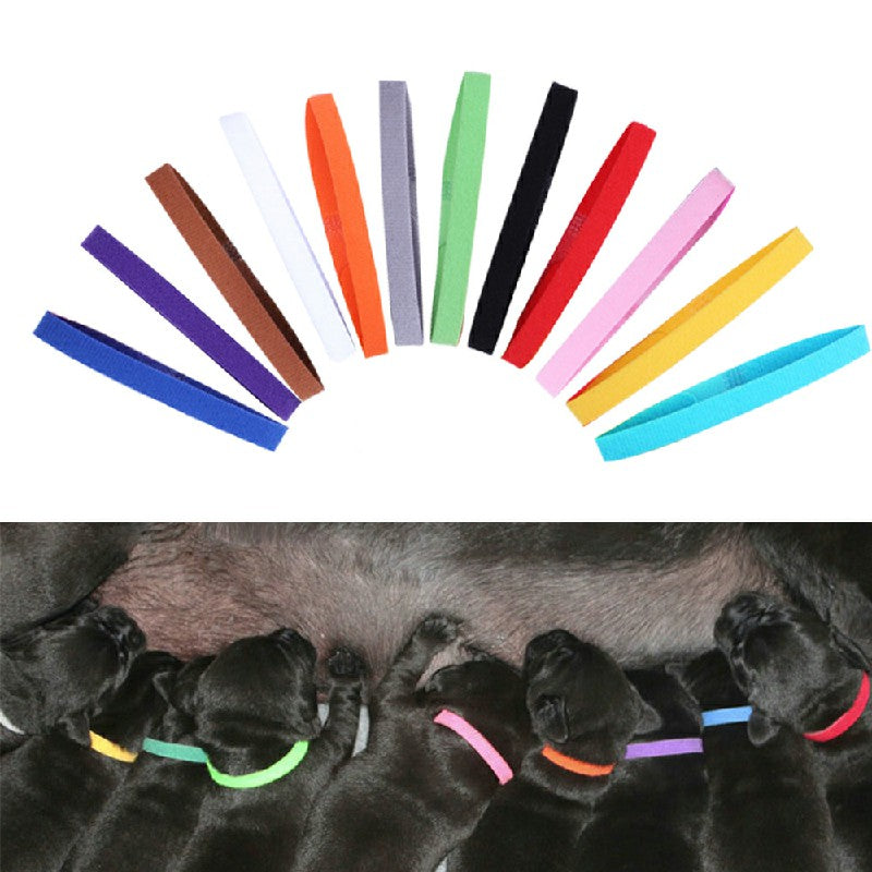 ID Collars for Puppies/Kittens