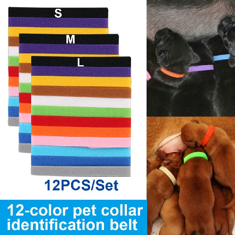 ID Collars for Puppies/Kittens