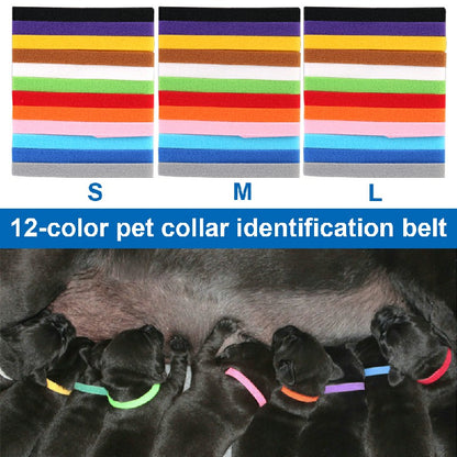 ID Collars for Puppies/Kittens