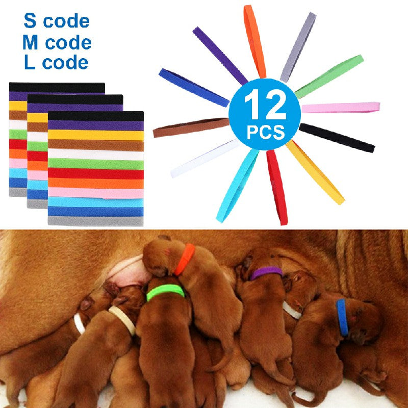ID Collars for Puppies/Kittens