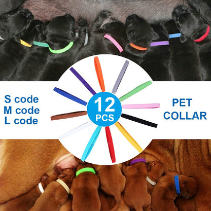 ID Collars for Puppies/Kittens