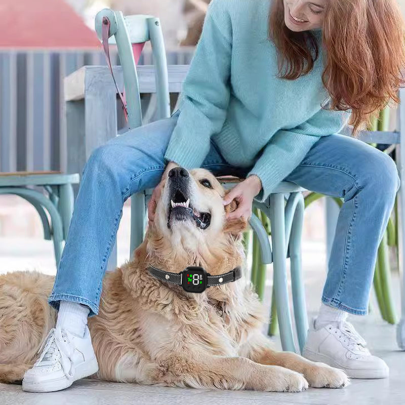 Automatic Anti Barking Collar