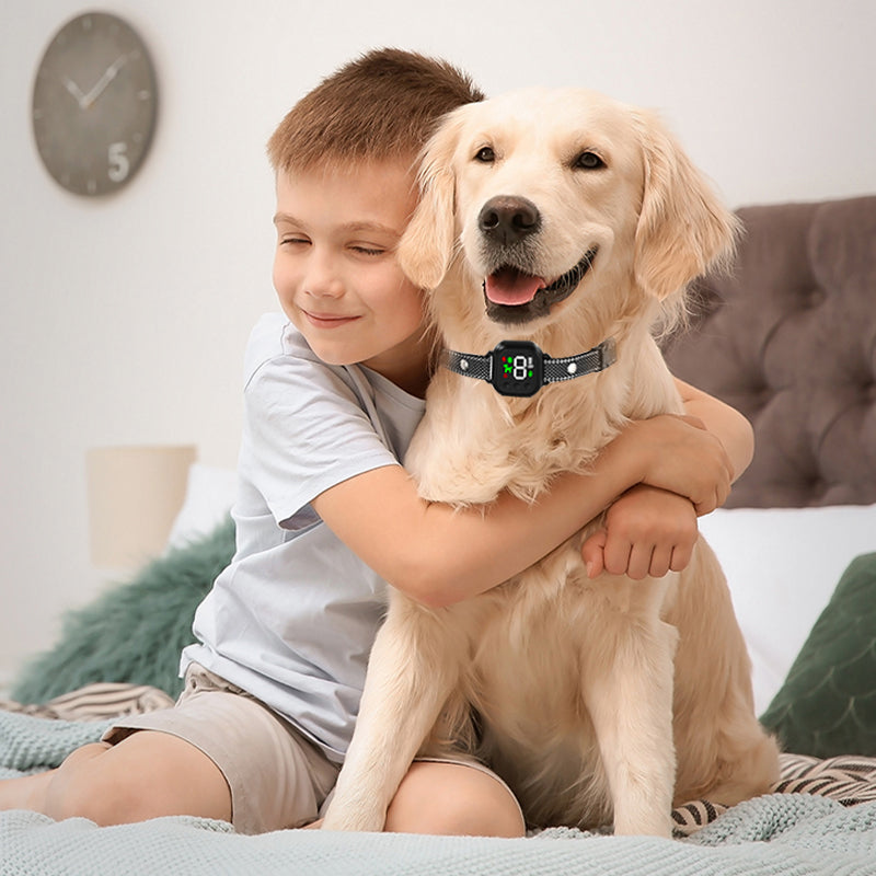 Automatic Anti Barking Collar
