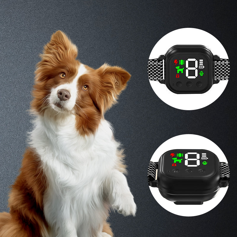 Automatic Anti Barking Collar