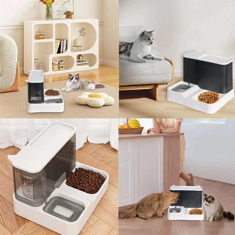 2-in-1 Pet Feeder and Water Dispenser Bowl