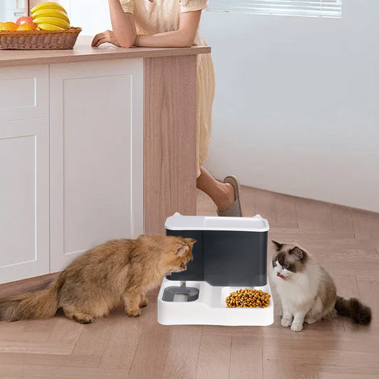 2-in-1 Pet Feeder and Water Dispenser Bowl