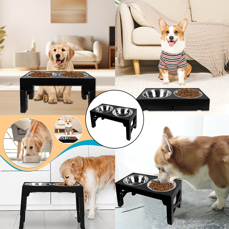 Elevated Dog Bowls with 5 Adjustable Heights