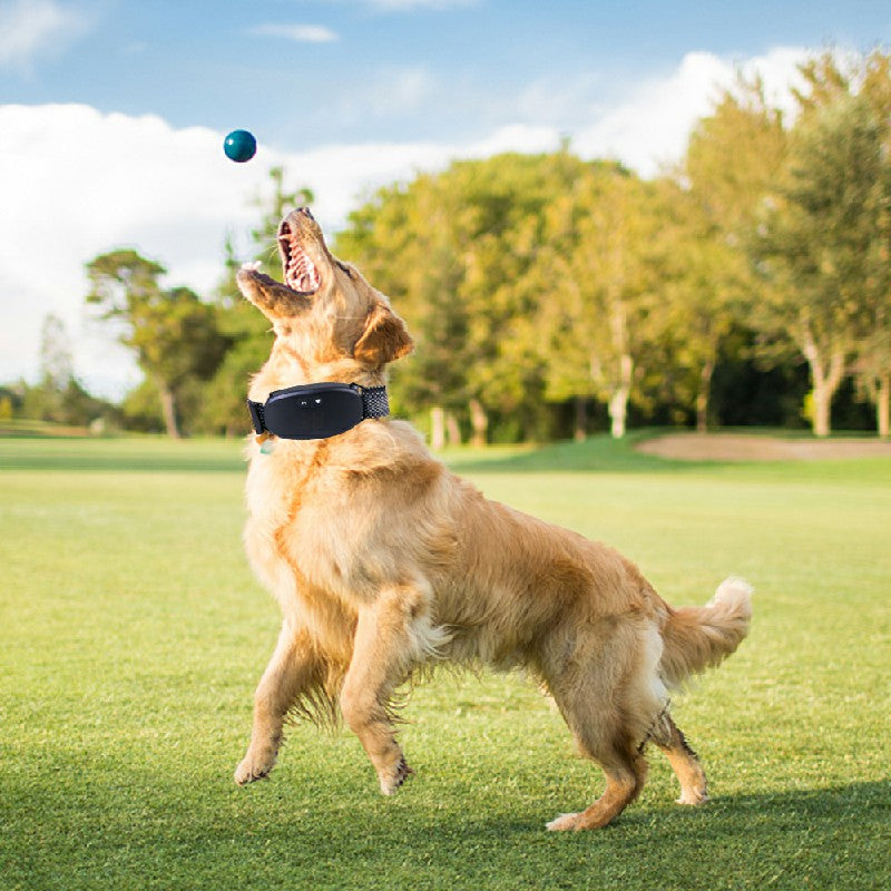Wiederaufladbares Anti-Bell-Halsband von PetControl
