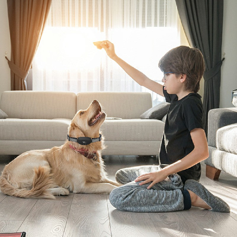 Wiederaufladbares Anti-Bell-Halsband von PetControl