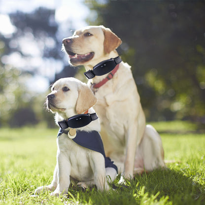 Wiederaufladbares Anti-Bell-Halsband von PetControl