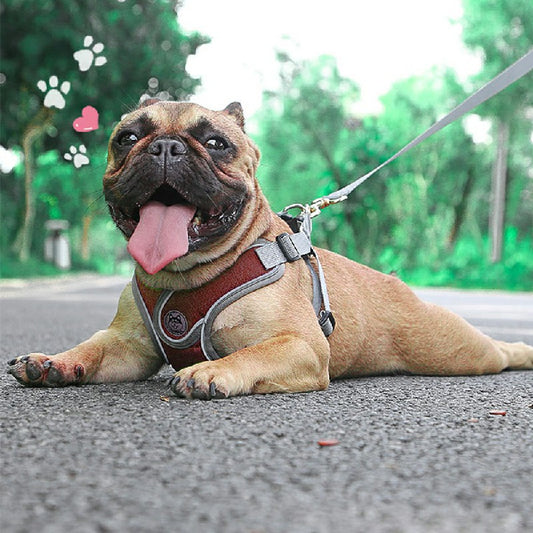 Adjustable and Breathable Dog Harness