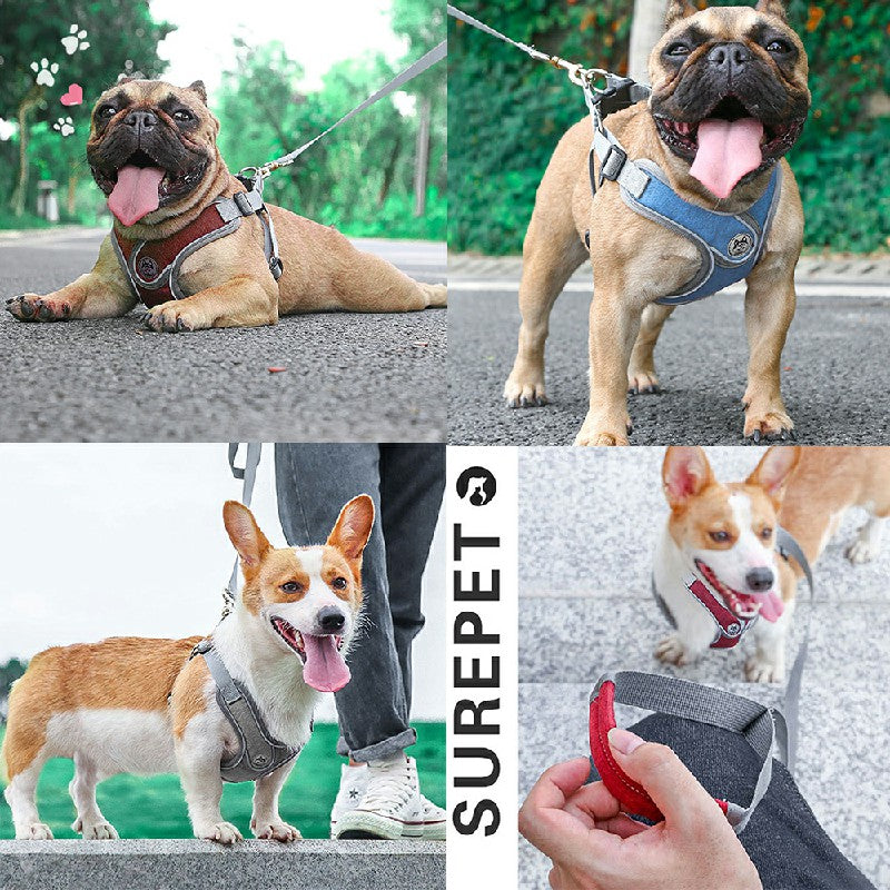 Adjustable and Breathable Dog Harness