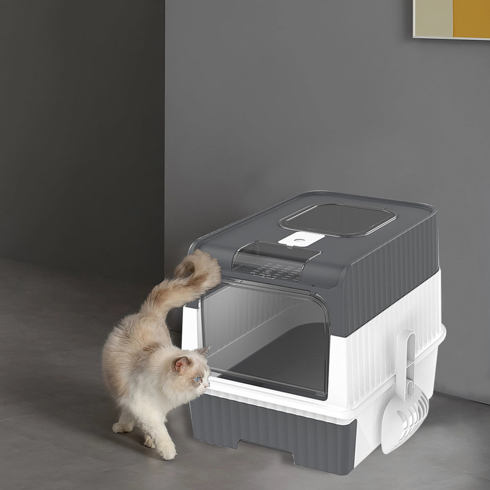 Large Cat Litter Box with Anti-Splashing Design