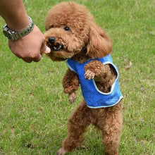 Cooling Dog Vest for Summer