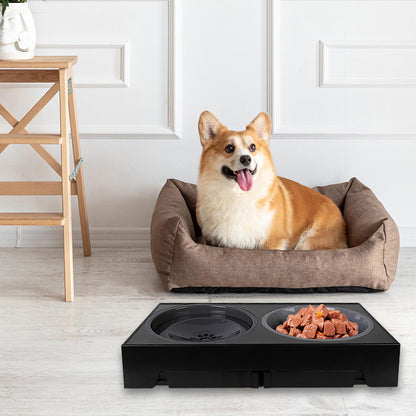 Raised Slow Feeder Dog Bowls