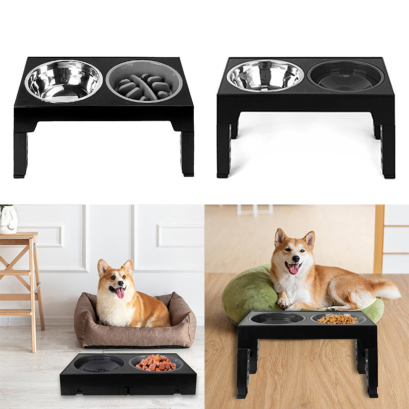 Raised Slow Feeder Dog Bowls
