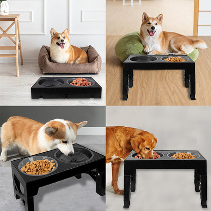 Raised Slow Feeder Dog Bowls