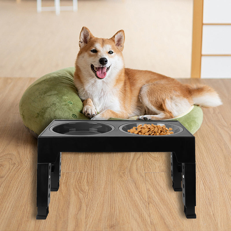 Raised Slow Feeder Dog Bowls
