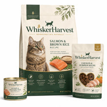 WhiskerHarvest Salmon & Brown Rice Adult Cat Food