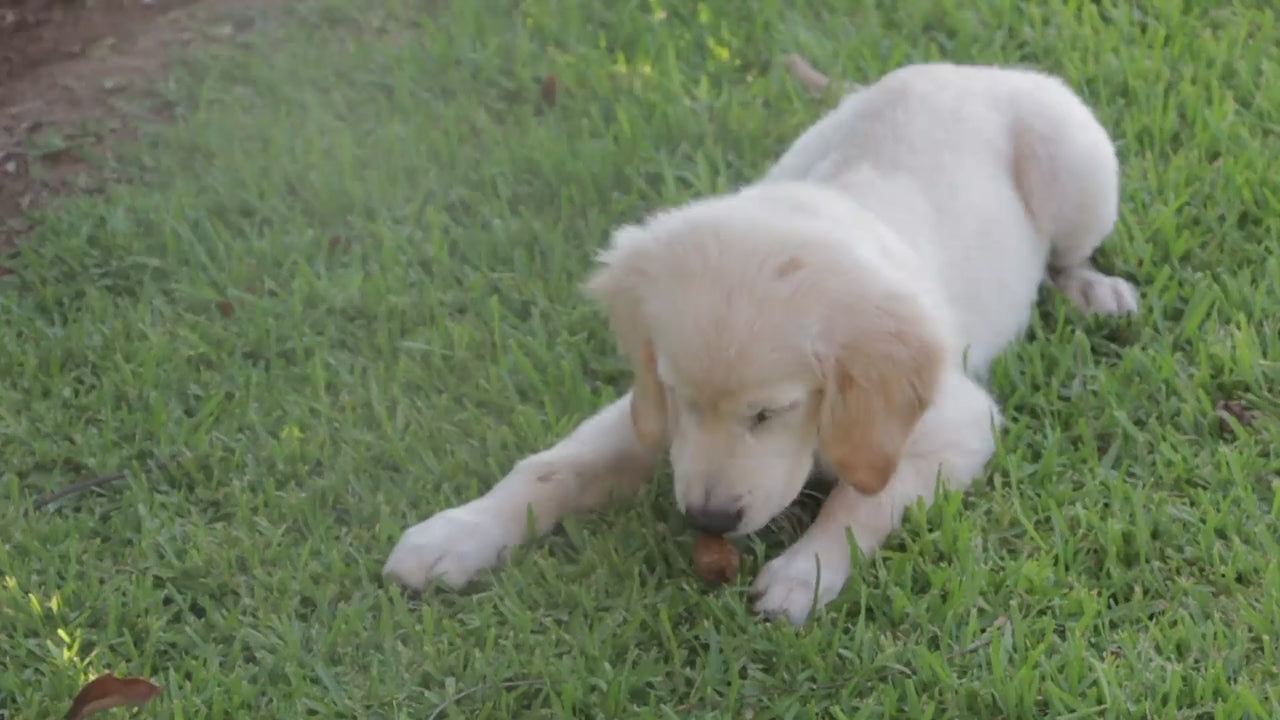 Load video: 