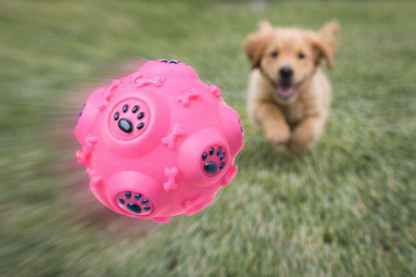 Puppy Teeth Cleaning Ball — action
