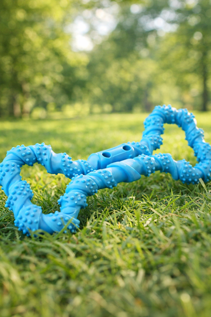 Silicone Bone Toy for Dogs — main