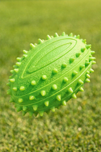 Squeaky Rugby Shaped Ball Toy for Dogs — main